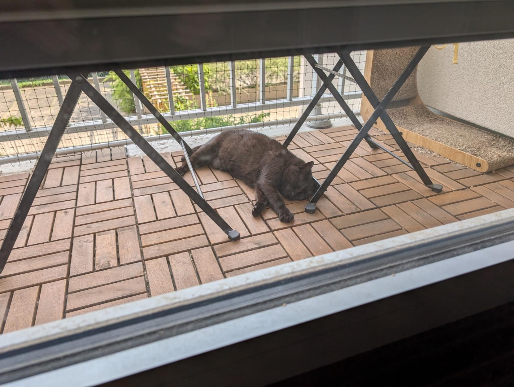 A black cat lying asleep on wooden grating